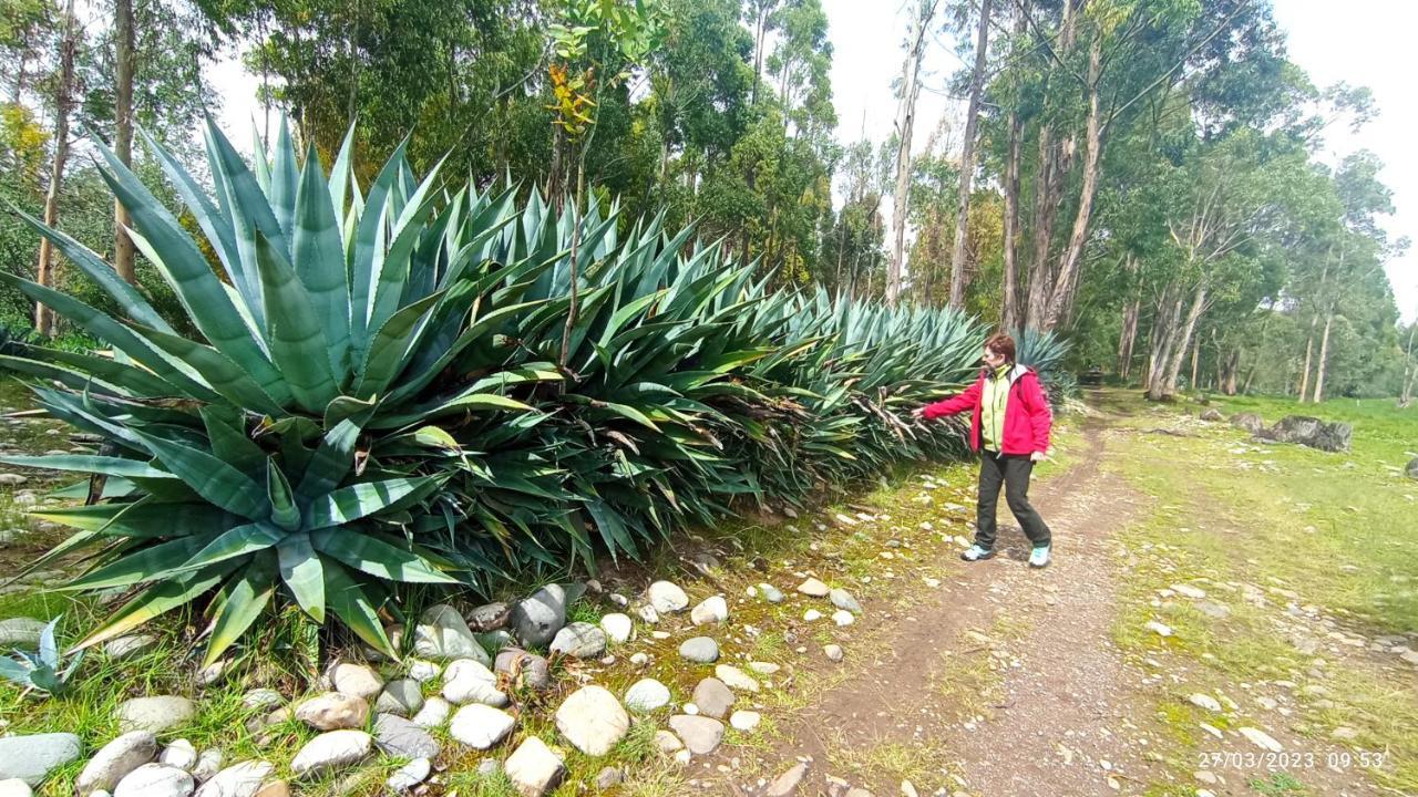 جاويا Pousada Villa Huaripampa المظهر الخارجي الصورة